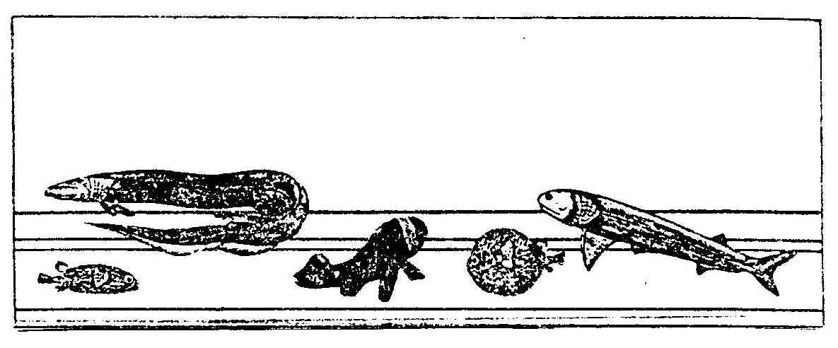 84_1.jpg (67104 bytes)