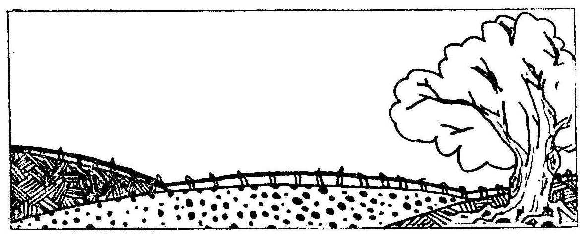 84_3.jpg (73944 bytes)